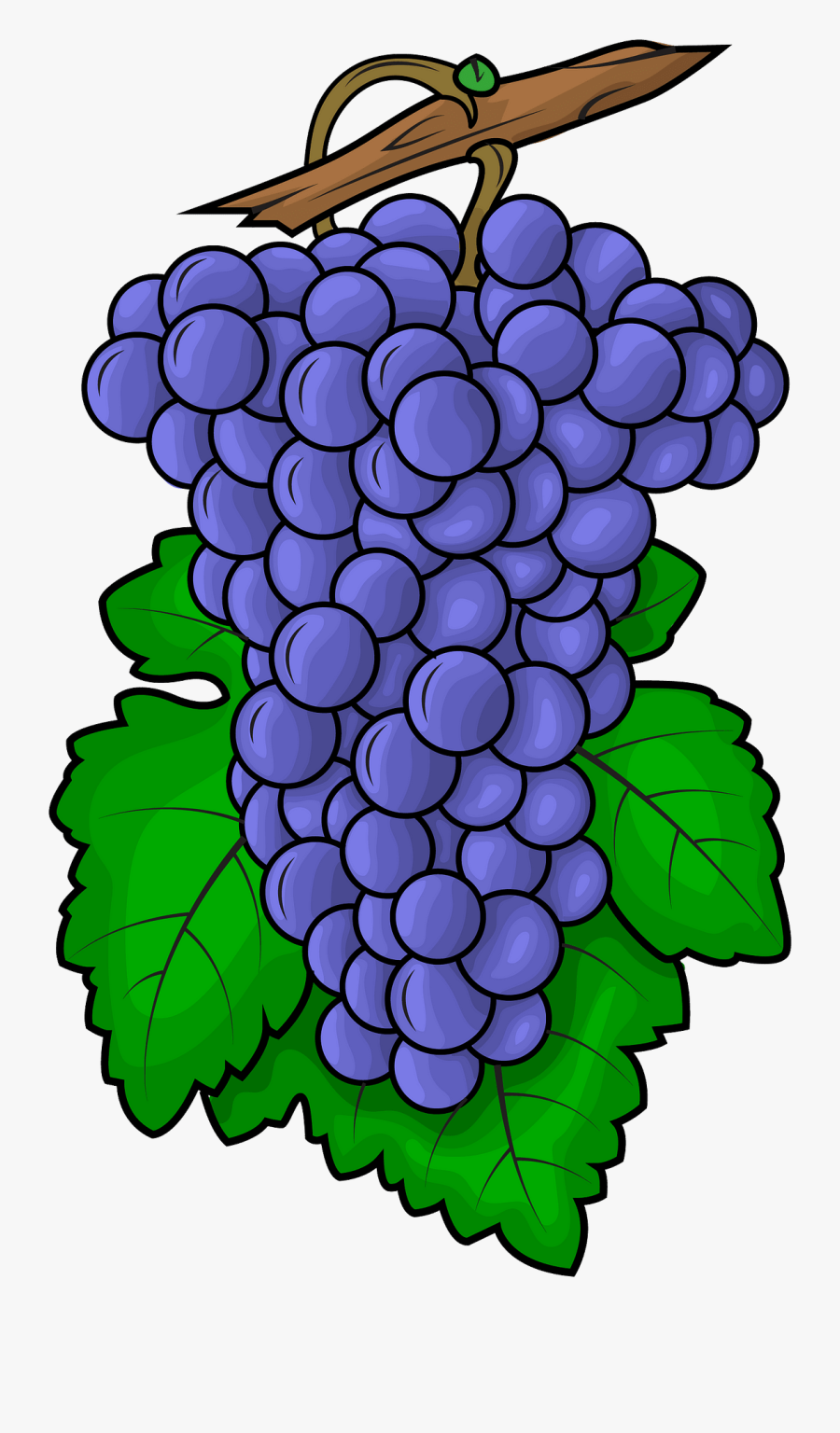 Grape, Transparent Clipart