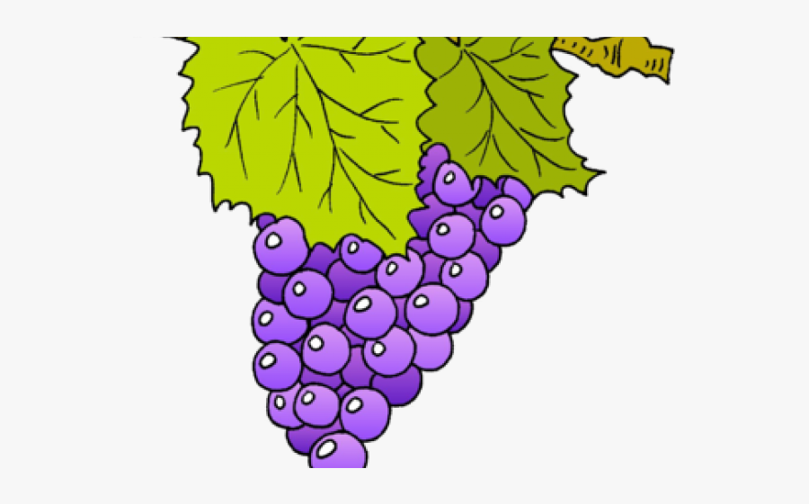 Vine Clipart Grape, Transparent Clipart