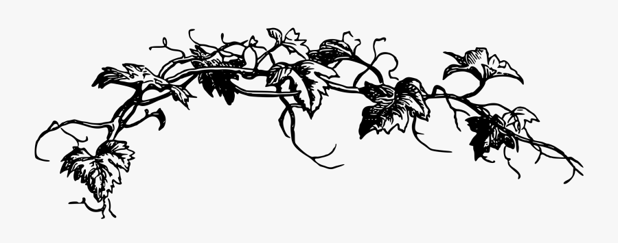 Grape Clipart, Transparent Clipart