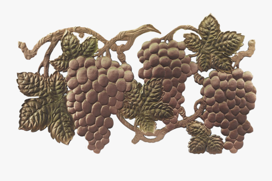 Grape Vine Png - Fruit, Transparent Clipart