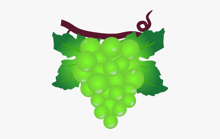 Plant,grape,grapevine Family - Grape, Transparent Clipart