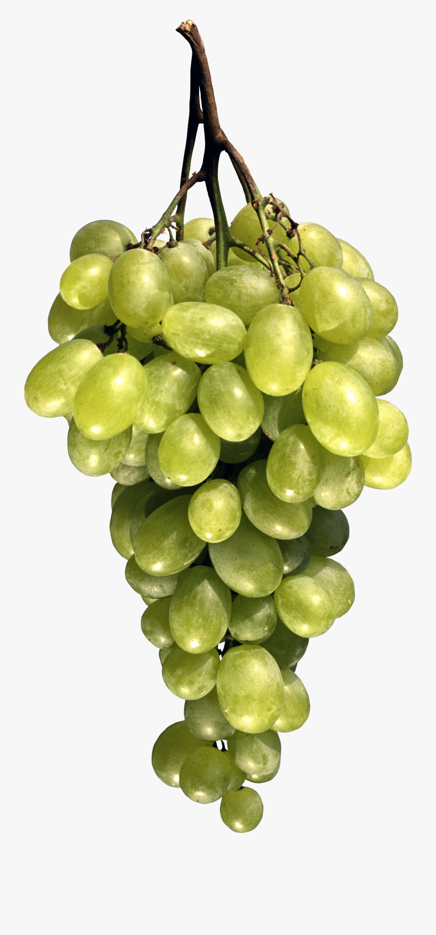 Fruit Png, Transparent Clipart
