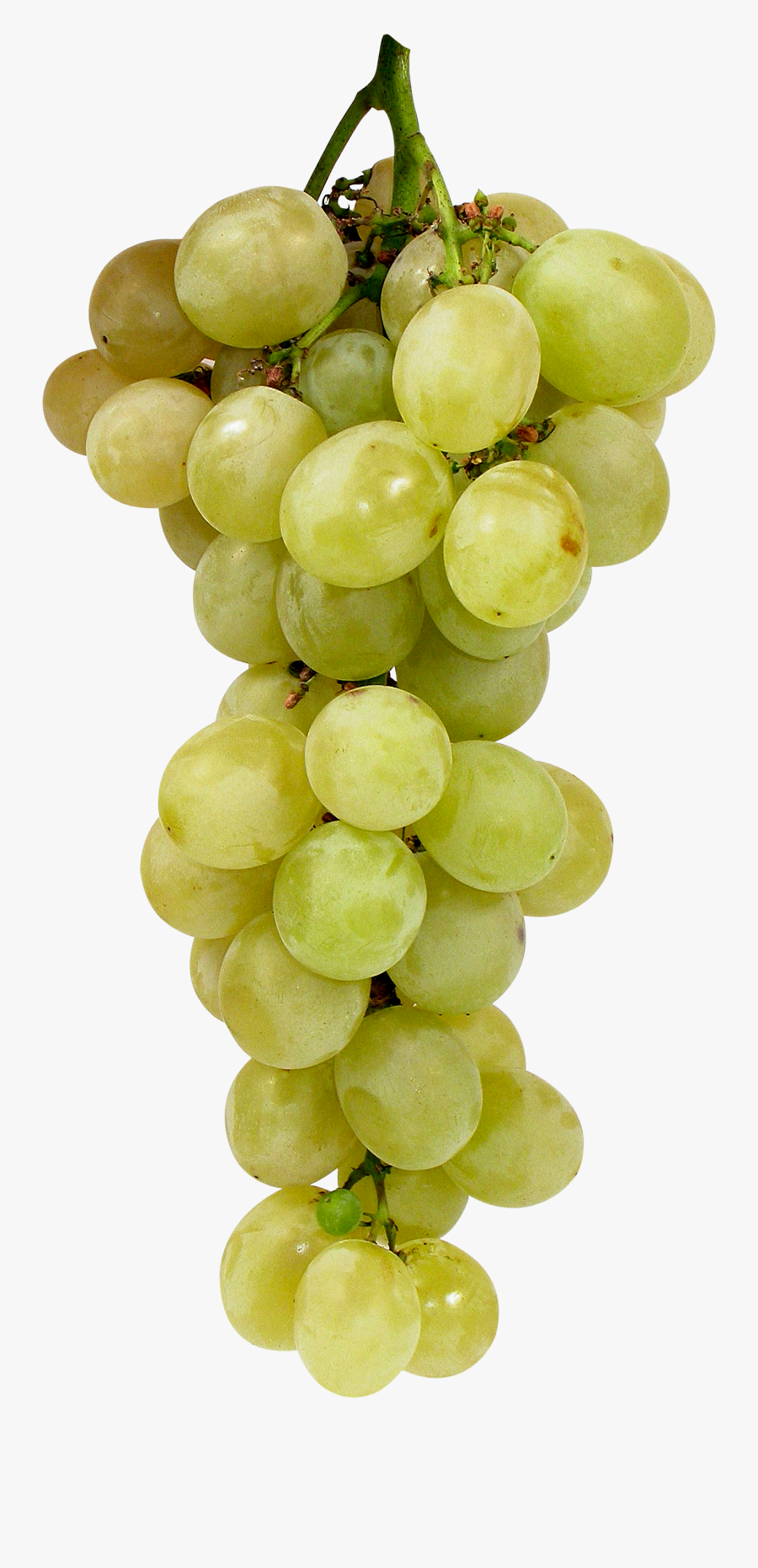 Green Grapes Transparent Background, Transparent Clipart