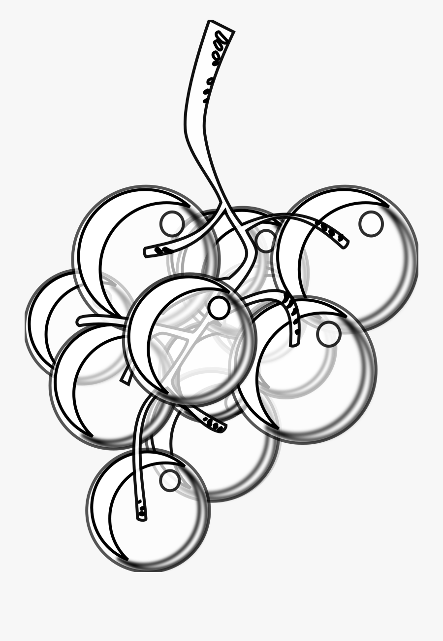 Transparent Grapes Vector Png - Black And White Grape, Transparent Clipart