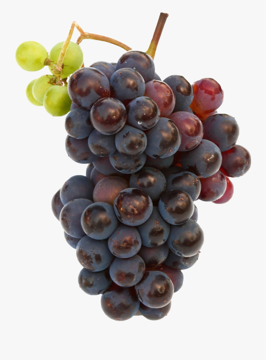 Black Grapes Png Clipart - Png Bgrapes, Transparent Clipart