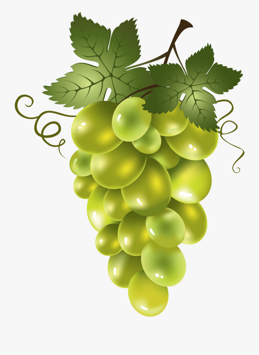 Transparent Grapes Clipart Png - Uva Roja Y Verde, Transparent Clipart