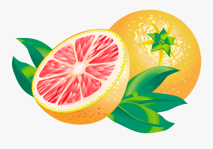 Grapefruit Clipart Transparent - Pomelo, Transparent Clipart