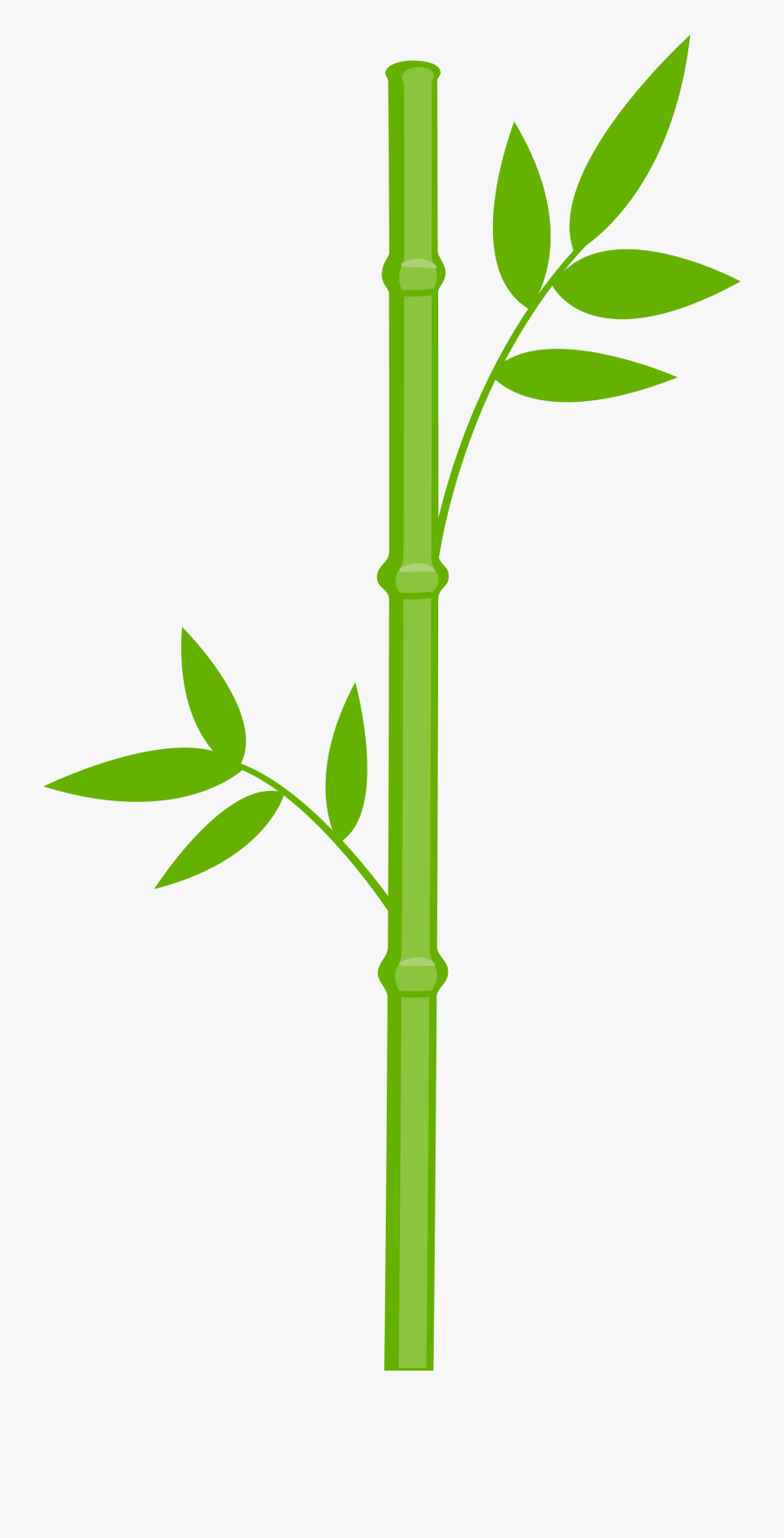 Panda Bear Png Minus Garden Clip Art - Transparent Bamboo Clip Art, Transparent Clipart