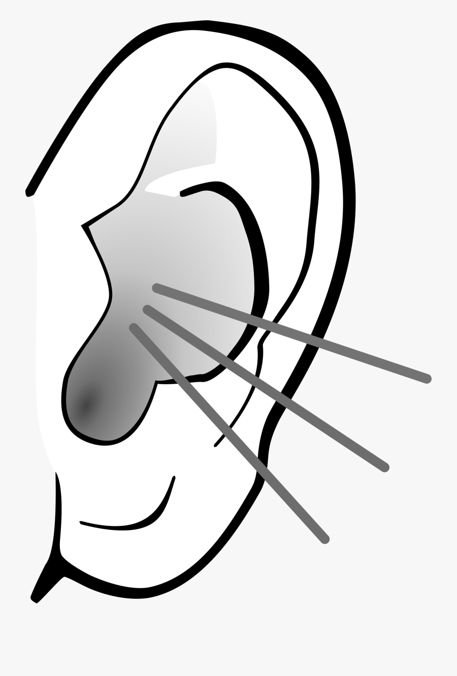 Big Image - Ear Clipart Black And White, Transparent Clipart