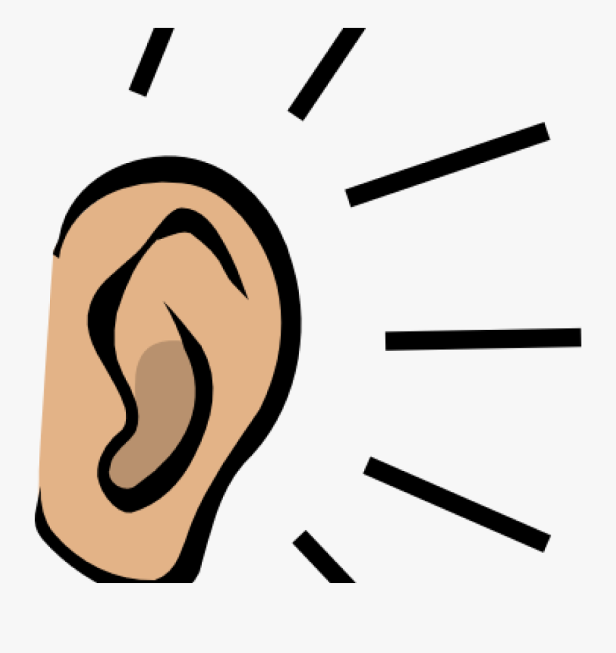 Clip Art Ear Picture Stock - Ears Clipart, Transparent Clipart