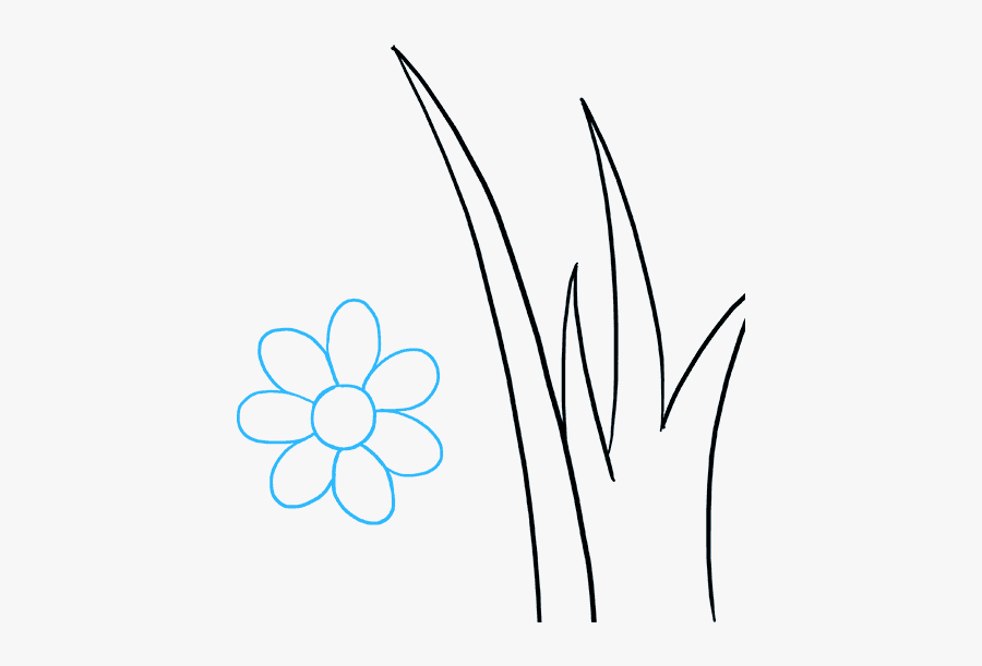 Point Drawing Garden - Line Art, Transparent Clipart