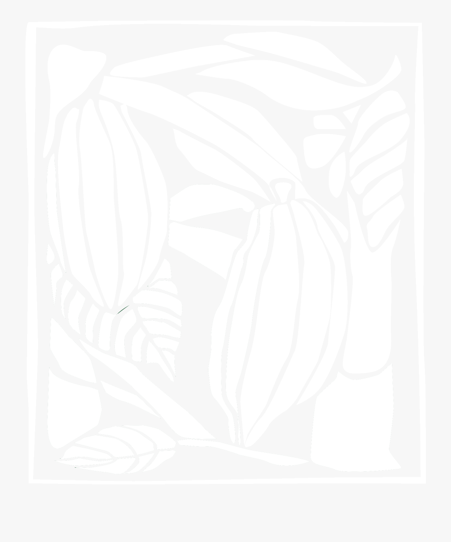 Princeville Botanical Gardens - Illustration, Transparent Clipart