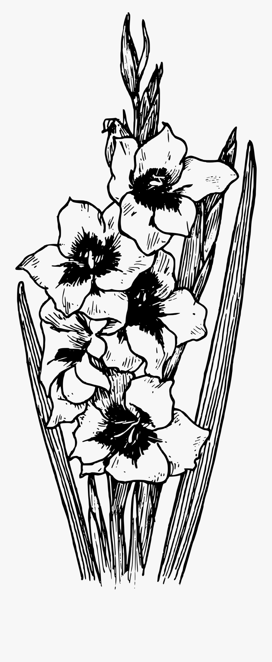 Flower Bouquet Black White Clipart Png, Transparent Clipart