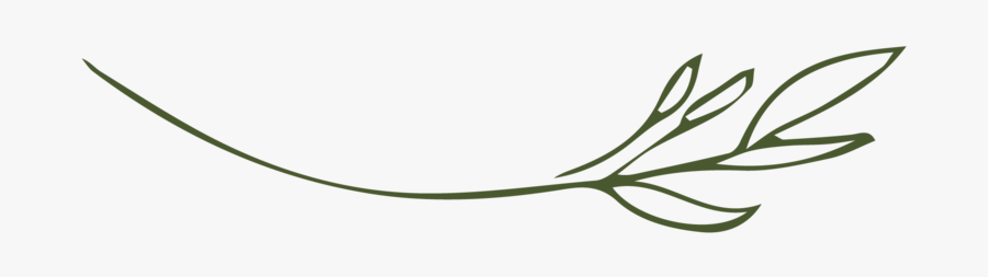 The Fresh Bloom Twig-moss, Transparent Clipart