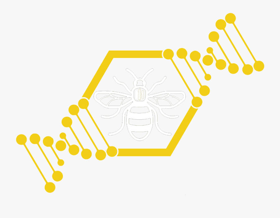 Crossfit Central Manchester - Illustration, Transparent Clipart