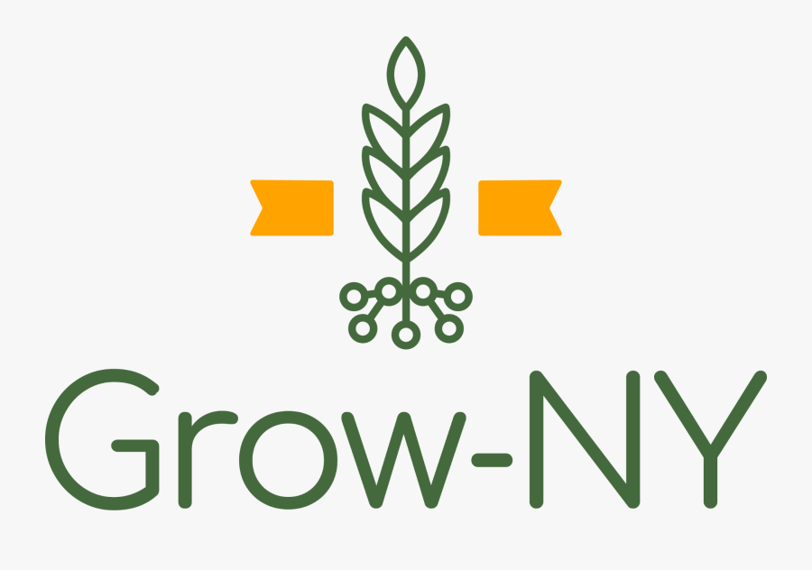 Southern Tier Startup Alliance - Grow Ny, Transparent Clipart