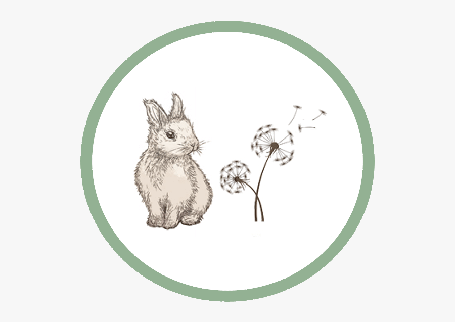 View All - Sporting Academy, Transparent Clipart