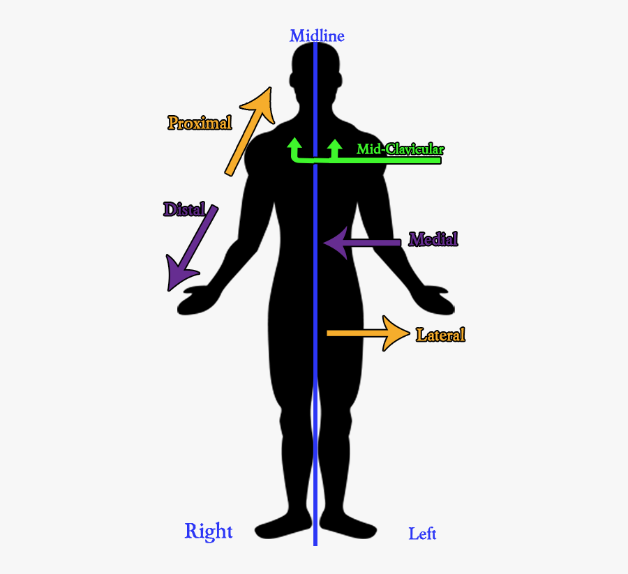 Flecha, Transparent Clipart