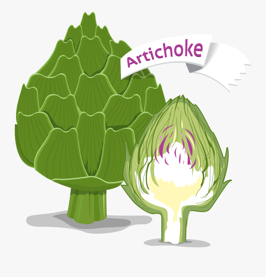 Broccoli, Transparent Clipart