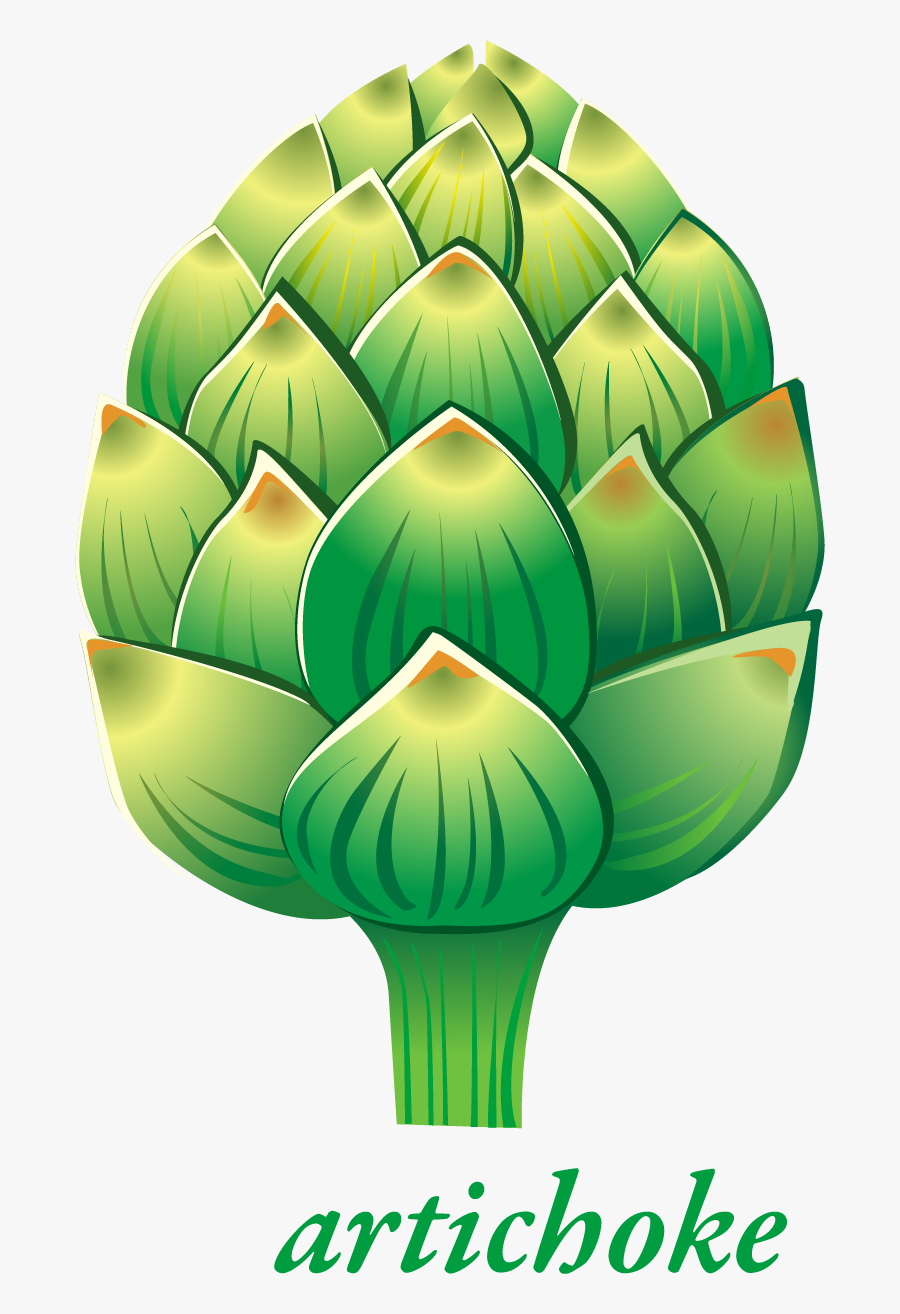 Collard Greens Vs Cabbage, Transparent Clipart