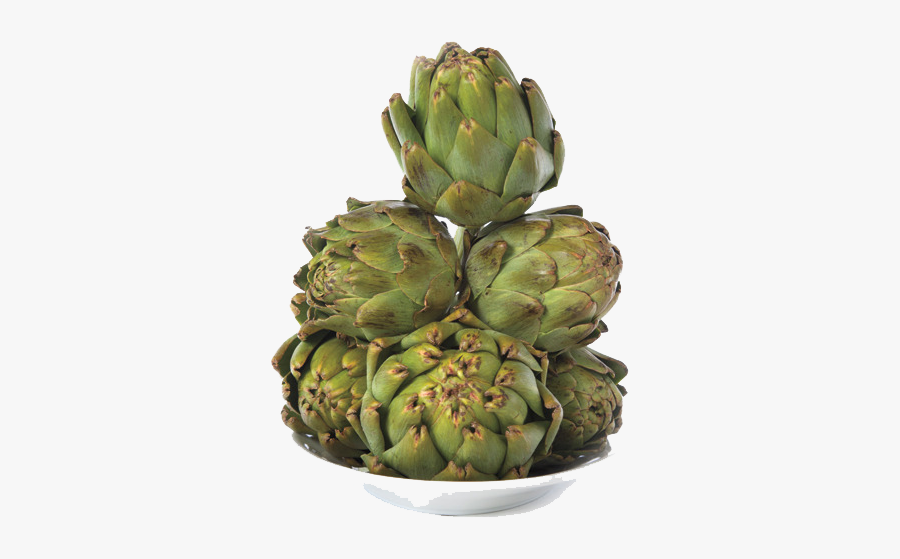 Download Artichokes Transparent Png For Designing Purpose - Portable Network Graphics, Transparent Clipart