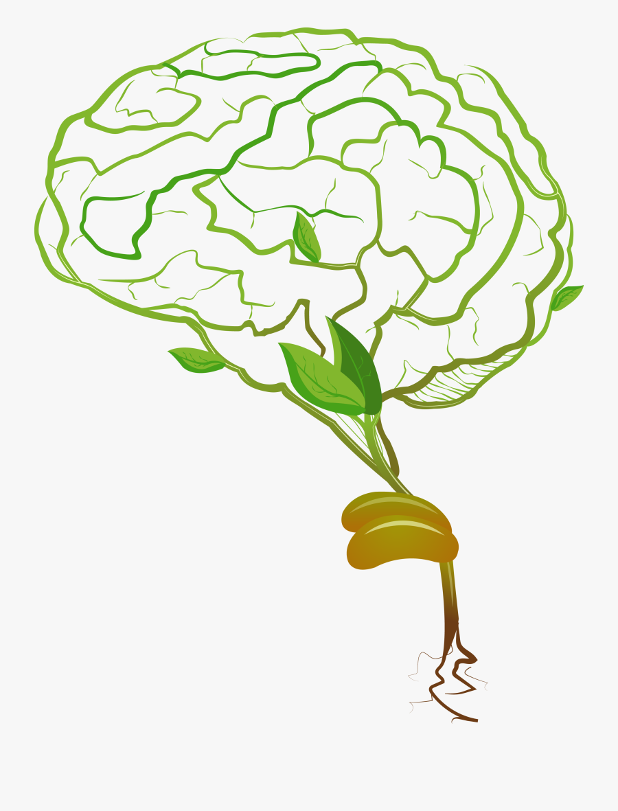 Brain, Transparent Clipart