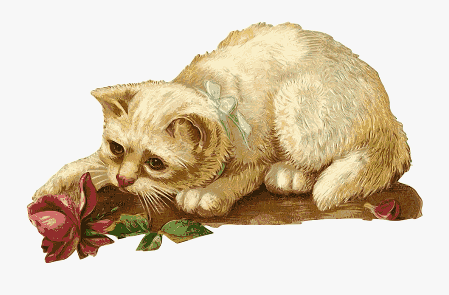 Cat Vintage Png, Transparent Clipart