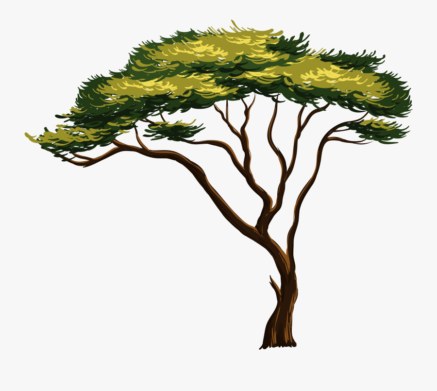 Transparent African Tree Clipart - Bird And Notice Board Cartoon, Transparent Clipart