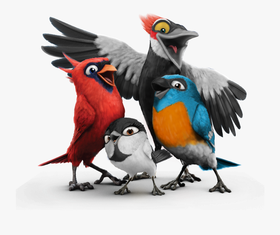 15 Of The Most Beautiful Birds In World Nature Babamail, Transparent Clipart