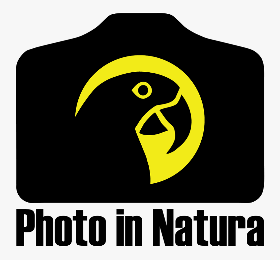 Clip Art Photo In Natur Ecoturismo - Emblem, Transparent Clipart