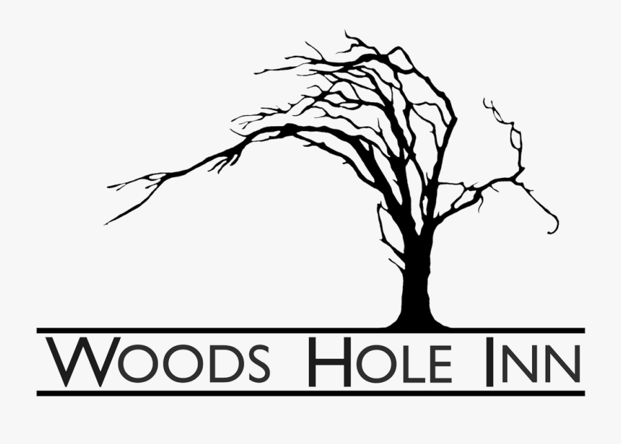 Picture - Illustration, Transparent Clipart