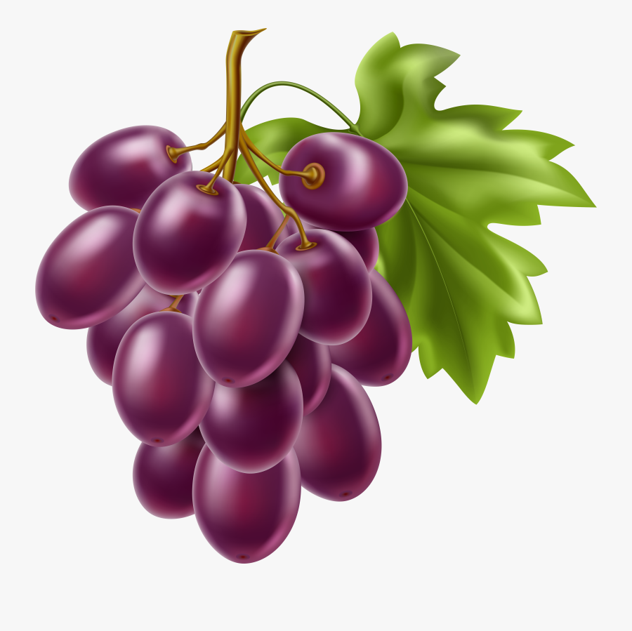 Fruit Clipart Grape - Grape Vector, Transparent Clipart