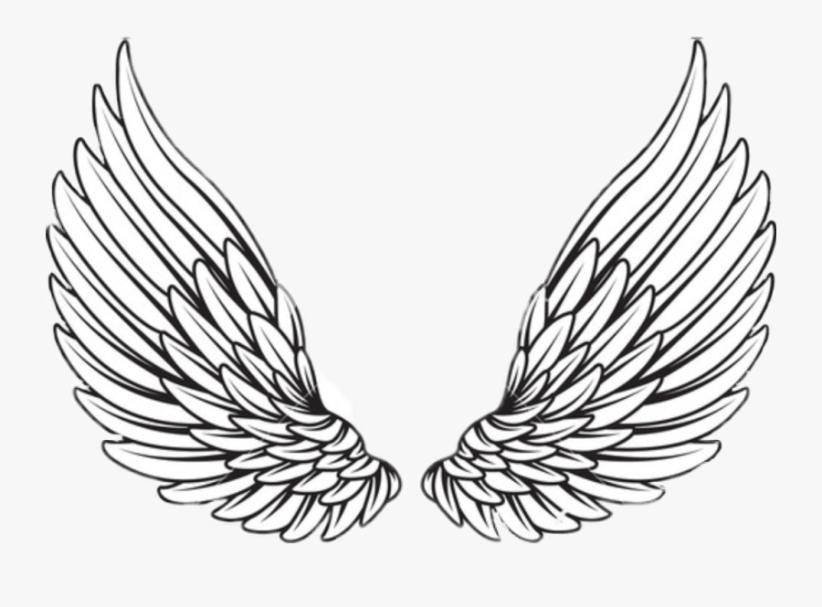 #wings #wing #fly #angel #omg #omfg #yay Omfg Guys - Angel Wings Vector Png, Transparent Clipart