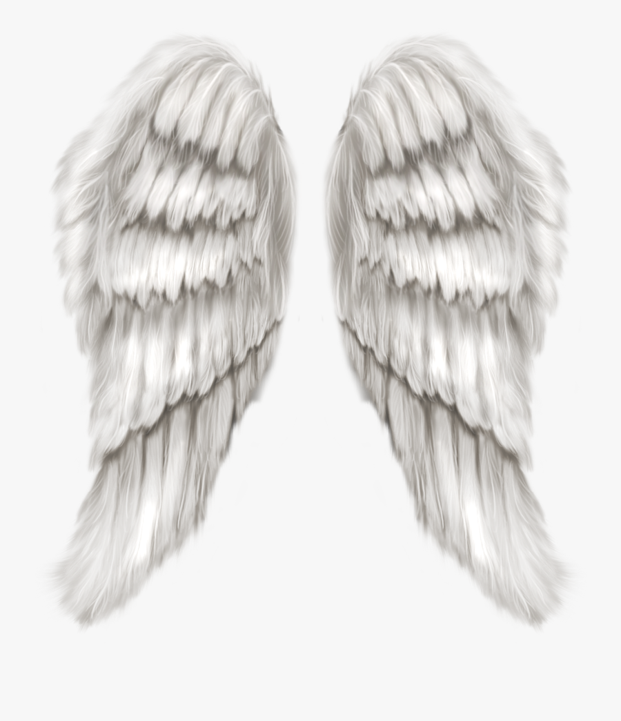 #beautiful #white #blue #angel #wings #flying #halloween - White Transparent Background Angel Wings Transparent, Transparent Clipart
