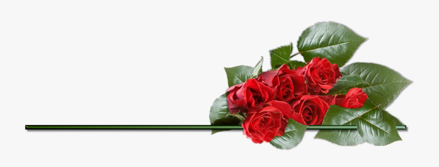 Clipart Rose Png Best - Valentines Day Rose Png, Transparent Clipart