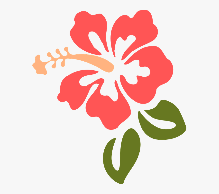 Hibiscus Clipart Divider - Transparent Background Hawaiian Flower Clipart, Transparent Clipart