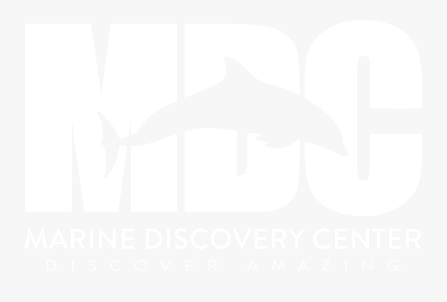 Marine Discovery Center, Transparent Clipart
