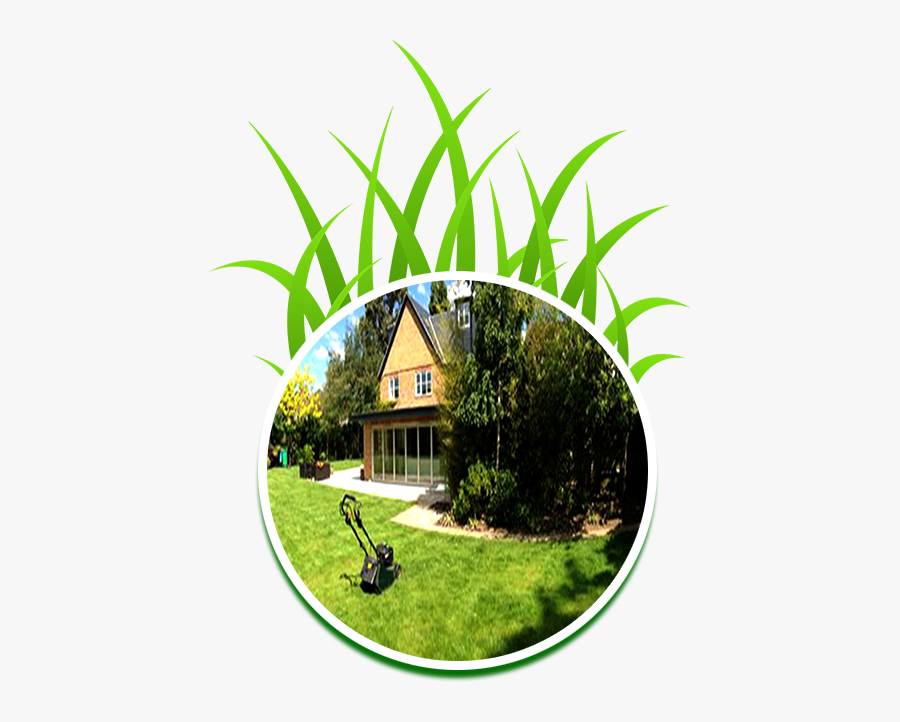 Grass Clipart, Transparent Clipart