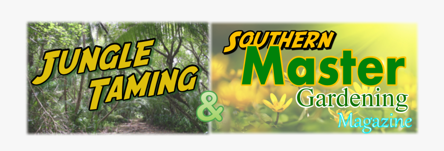 Logo - Graphic Design, Transparent Clipart