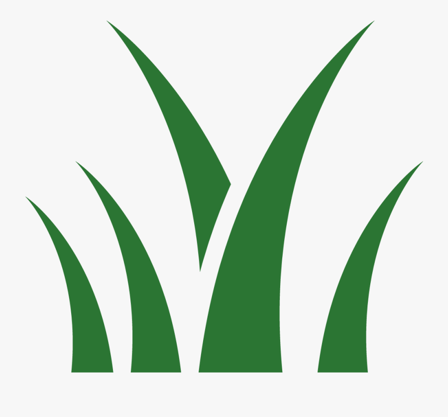 Lawn, Transparent Clipart