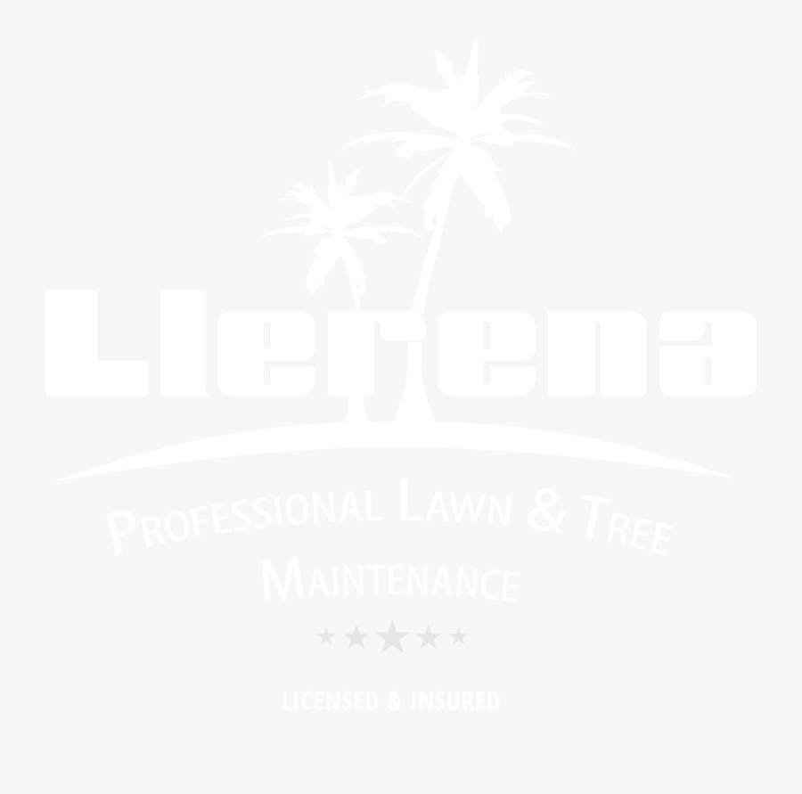 Integrated Marketing Plan, Transparent Clipart