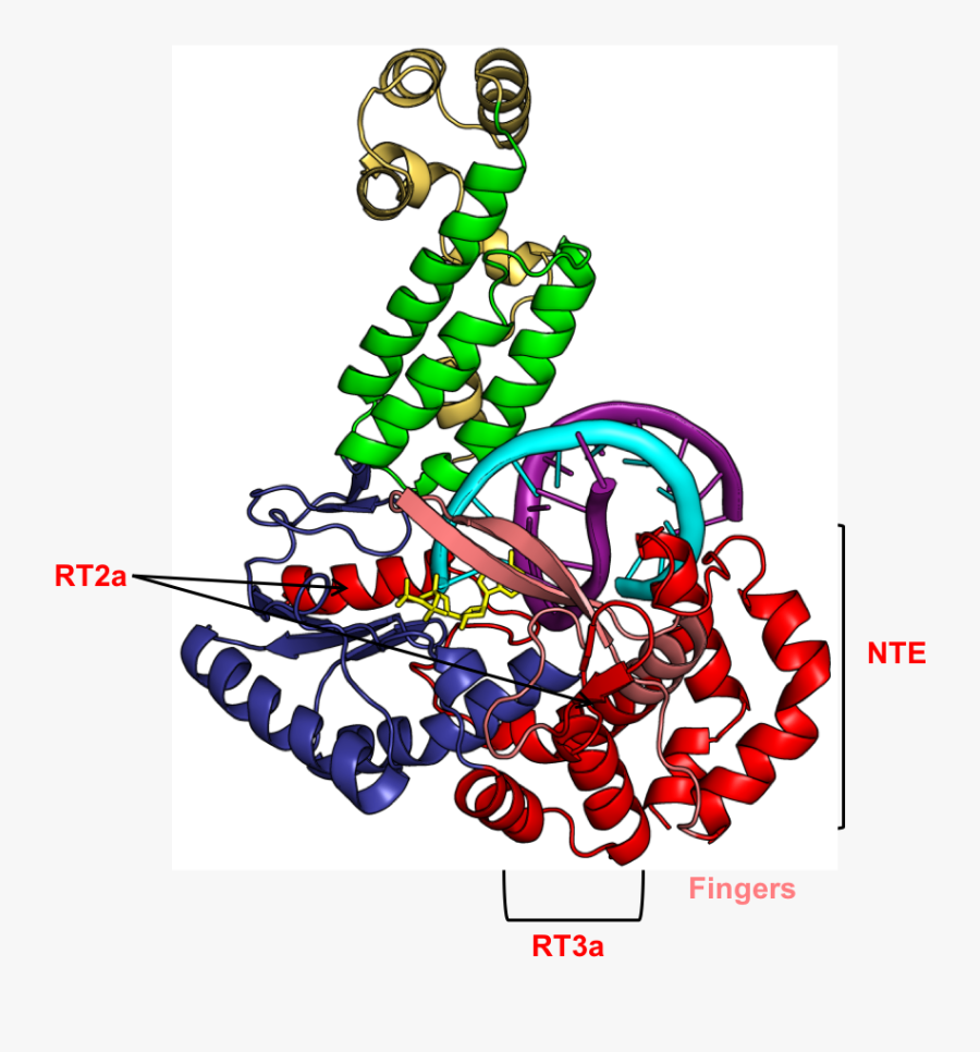 Gsi-iic Rt - Illustration, Transparent Clipart