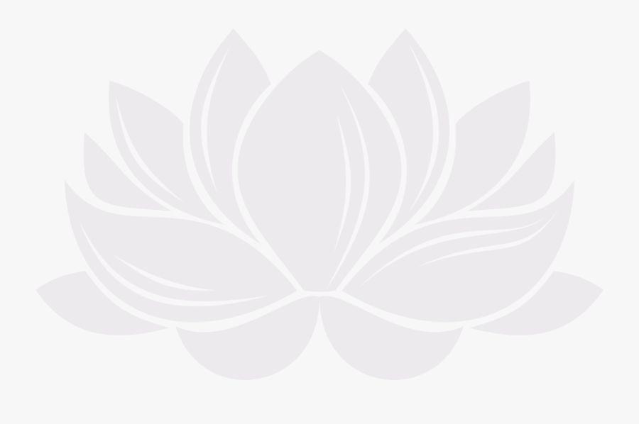 White Lotus, Transparent Clipart