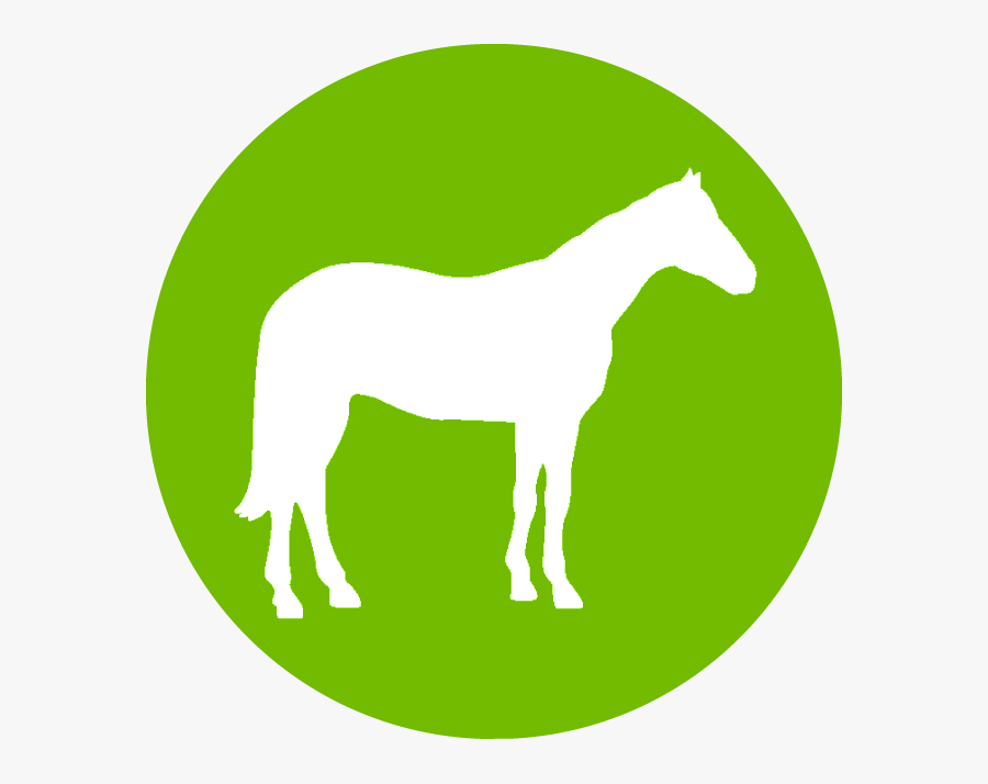 Sperm Marker - Mare, Transparent Clipart