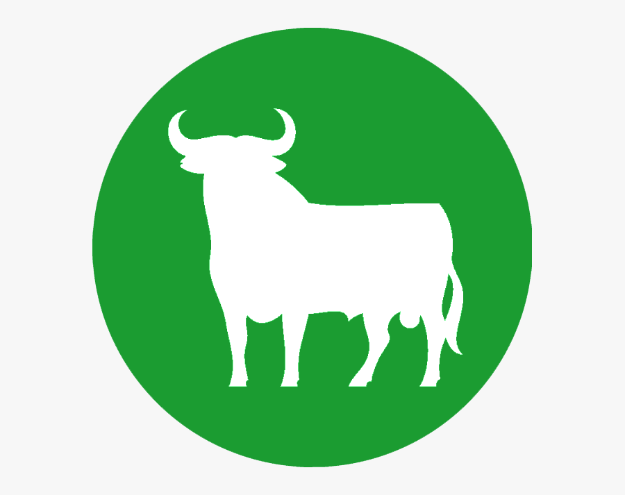 Bull 4mid - Asadero Cimarron Del Llano, Transparent Clipart