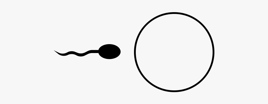 Sperm Rubber Stamp"
 Class="lazyload Lazyload Mirage - Circle, Transparent Clipart
