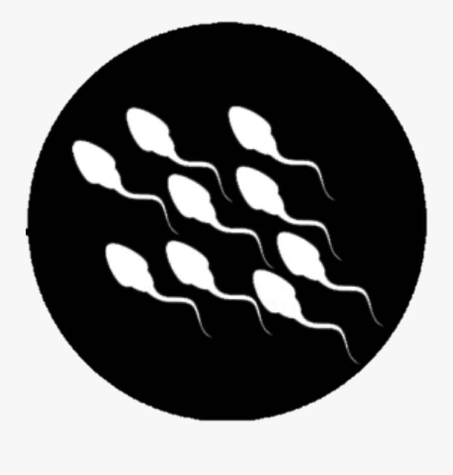 Logo Boarderline, Transparent Clipart