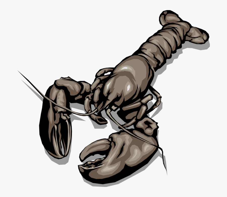 Vector Illustration Of Clawed Lobster Shellfish Marine - American Lobster, Transparent Clipart