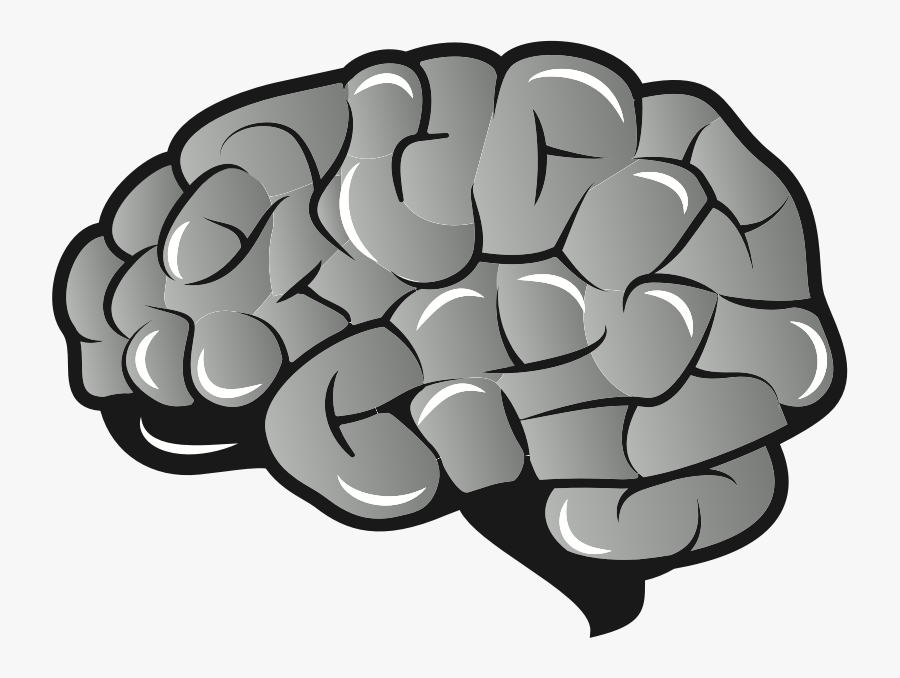 Brain download. Мозг рисунок. Мозг svg. Мозг вектор.