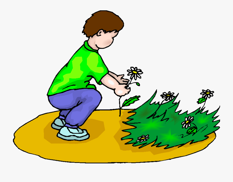 This Is A Good Habit - Pick Flower Clip Art, Transparent Clipart